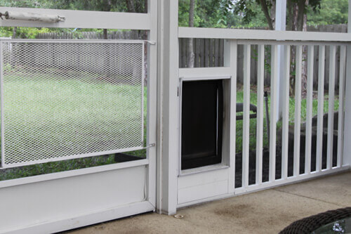 Pool screen enclosure outlet dog door